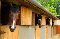 free Kingsclere Woodlands stable construction quotes